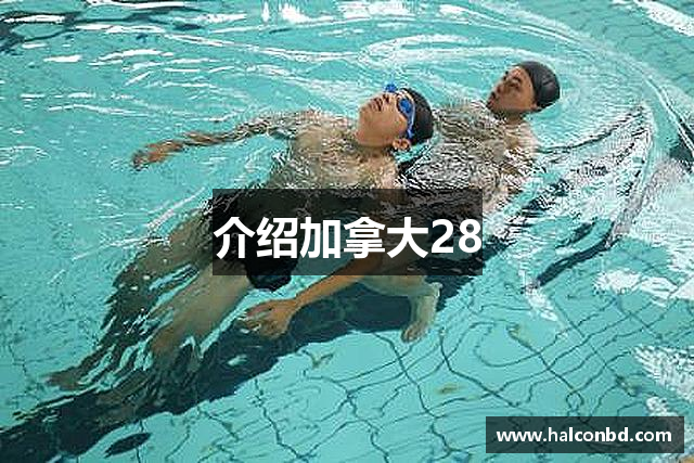 介绍加拿大28